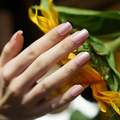 Pearl Pink semi-cured gel nail strips by MANITIME